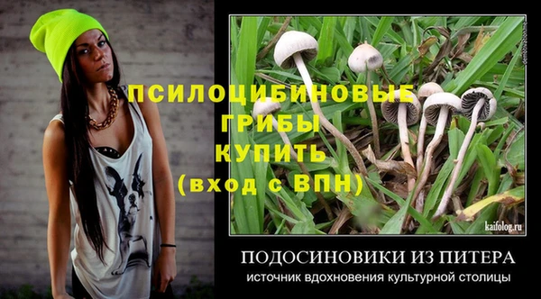круглые Алзамай