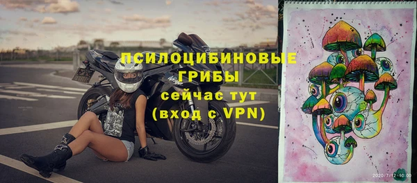 круглые Алзамай