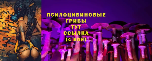 ГАЛЛЮЦИНОГЕННЫЕ ГРИБЫ Алексин