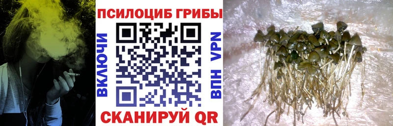 Галлюциногенные грибы MAGIC MUSHROOMS  где купить наркотик  Электрогорск 